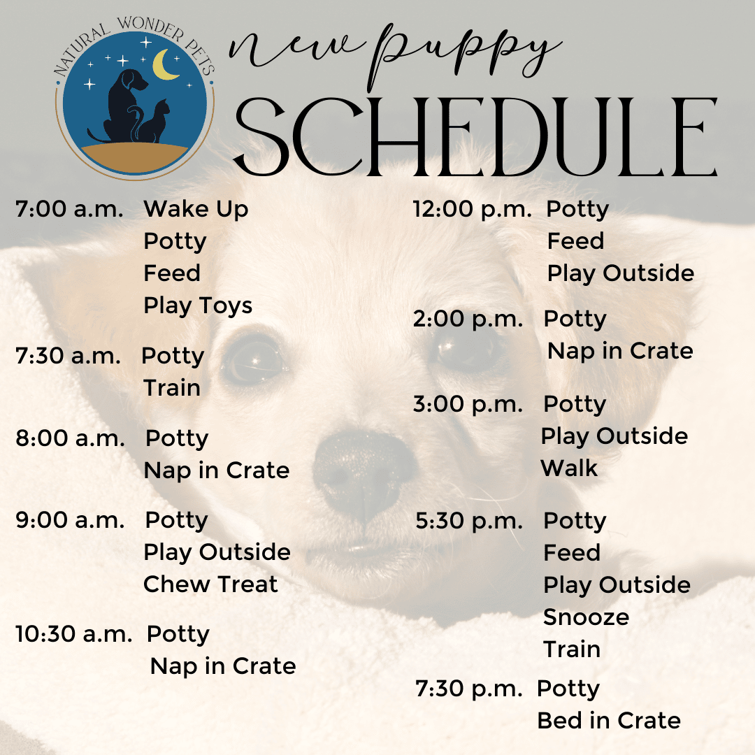 New Puppy Schedule - NWP