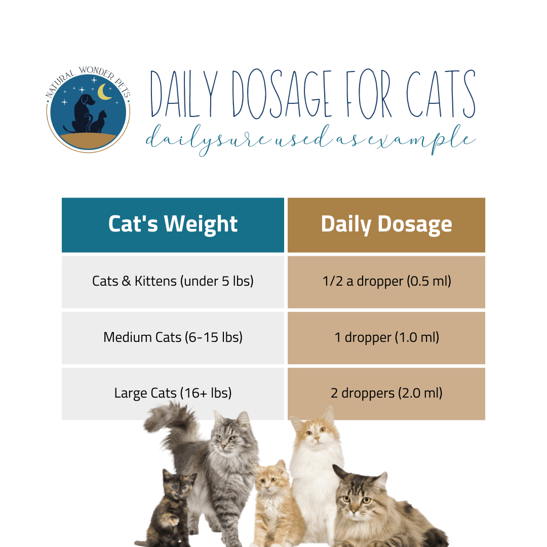 Daily Dosage for Cats