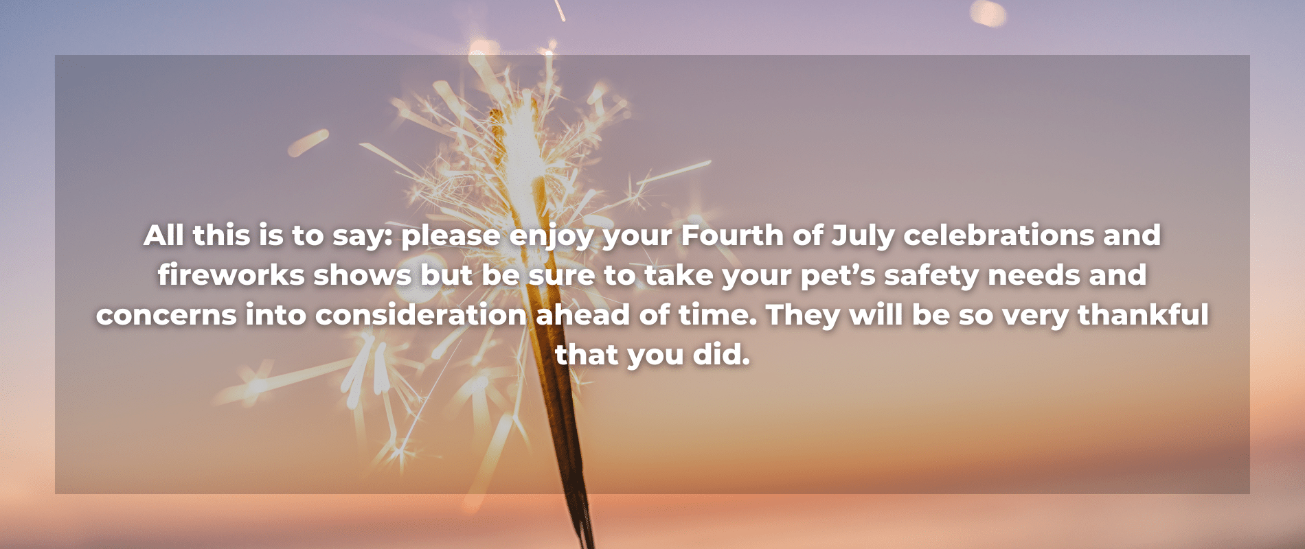 Firework with pet safety caption