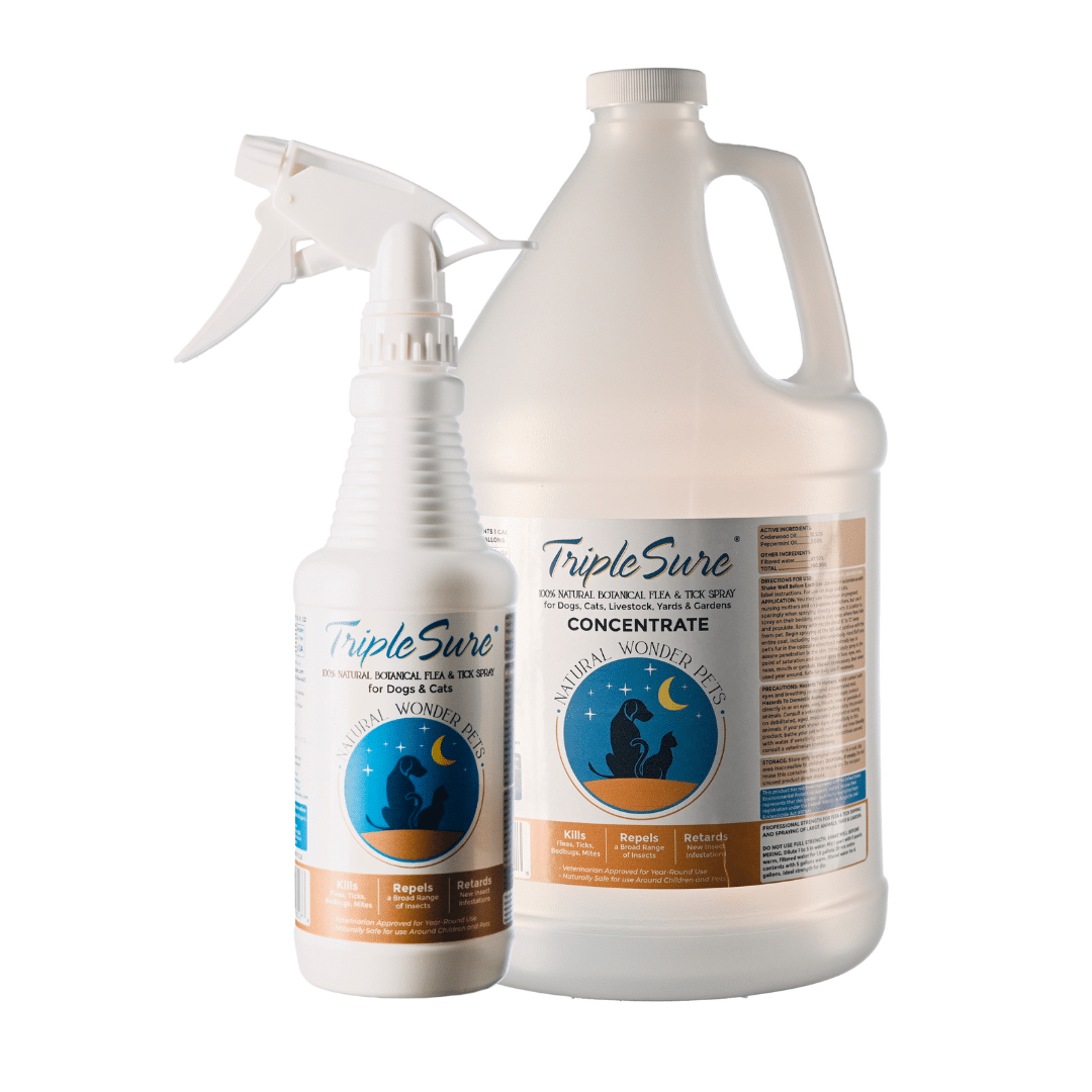 Spray bottle of TripleSure with gallon jug of TripleSure concentrate