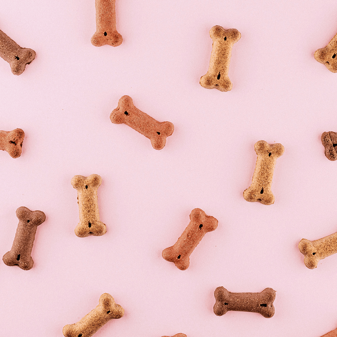 Colorful dog treats on pink background