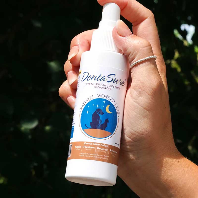 dentasure all natural oral care spray for dogs and cats in hand