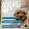 manly mane natural dog shampoo infographic how to shampoo