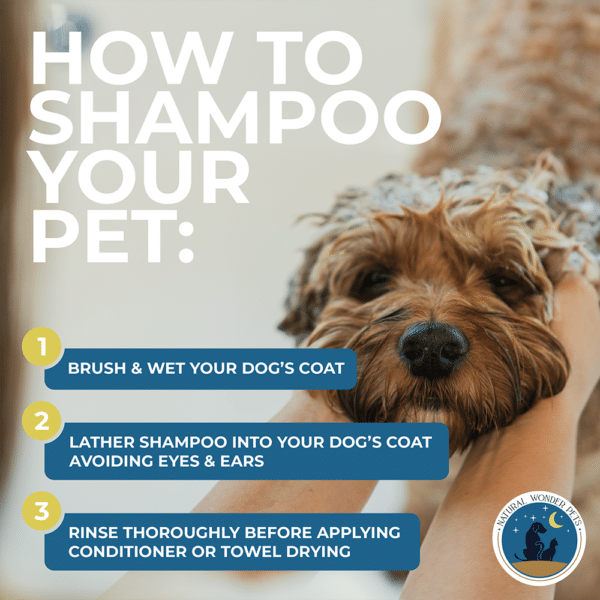 manly mane natural dog shampoo infographic how to shampoo