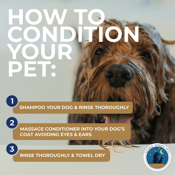 fancy fur natural dog conditioner infographic how to condition