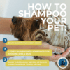 fancy fur natural dog shampoo infographic how to shampoo instructions