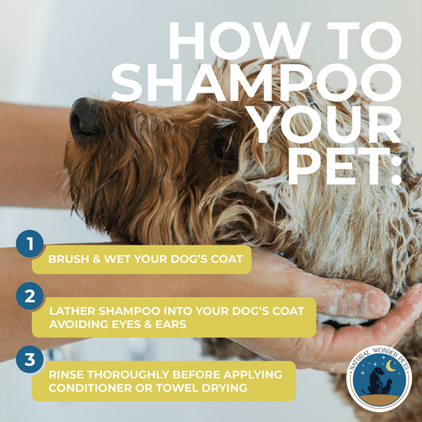 fancy fur natural dog shampoo infographic how to shampoo instructions