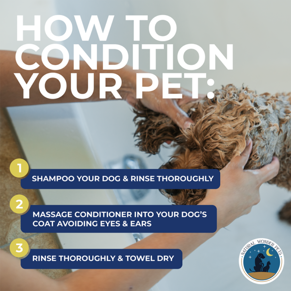 manly mane natural dog conditioner infographic how to condition