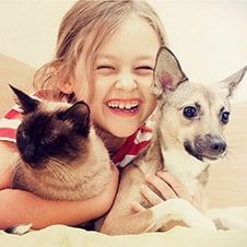 Little girl laughing with cat and dog