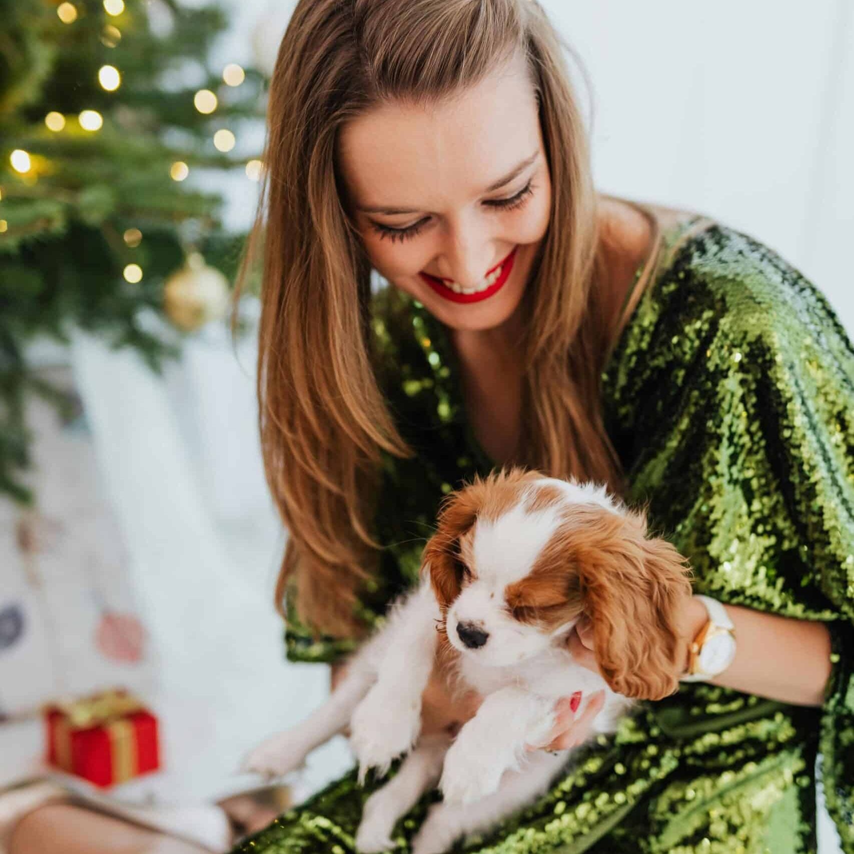 Woman in green holiday dress holding s small dog.