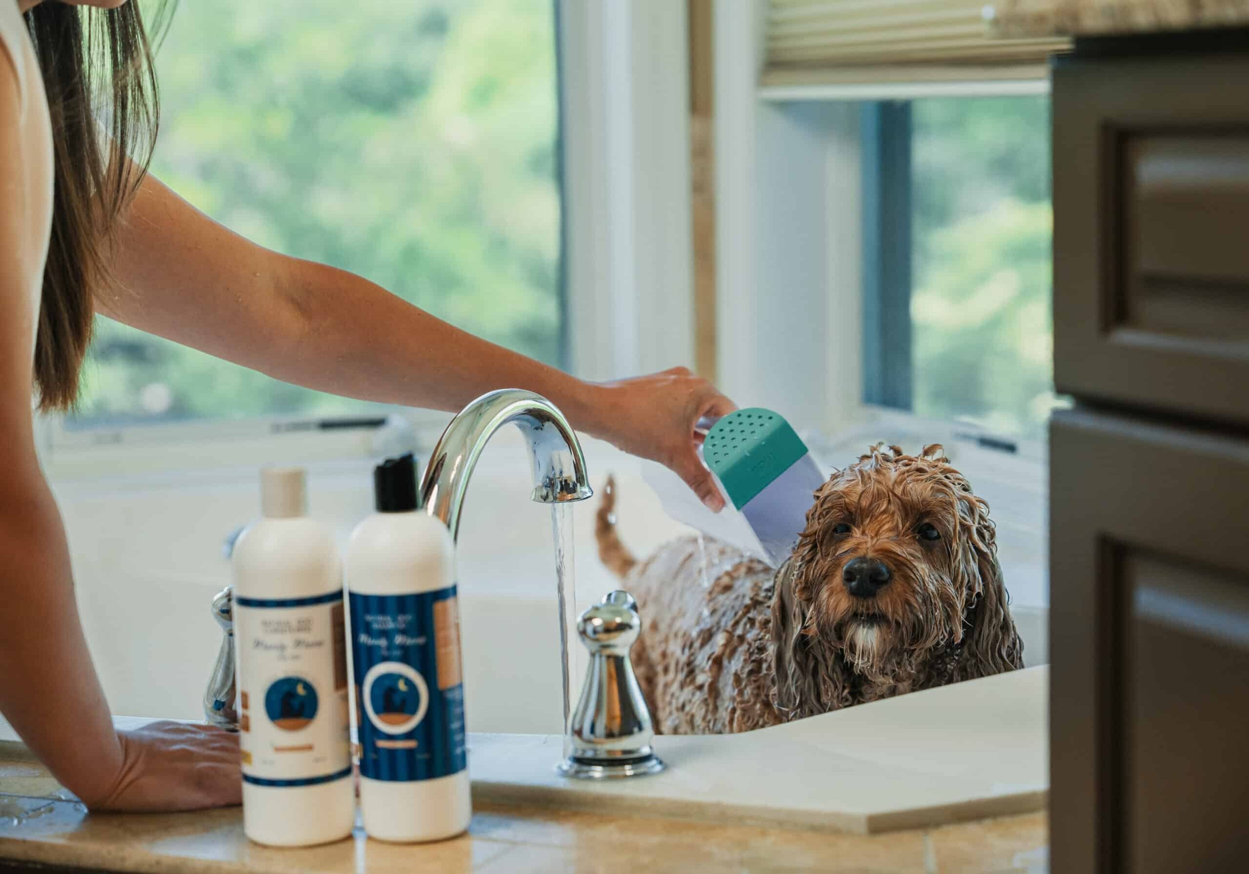 Manly Mane natural dog shampoo scrub and rub
